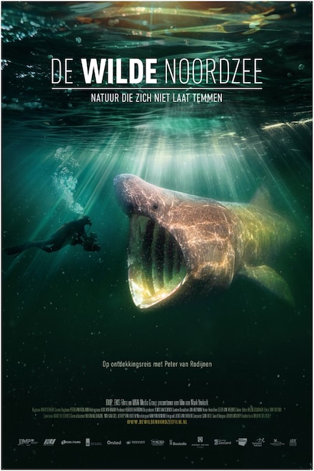 Cineplus: De Wilde Noordzee Poster