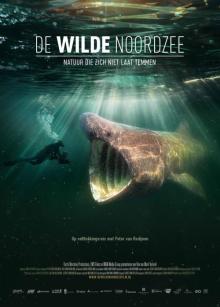 De Wilde Noordzee (Vue Plus) Poster